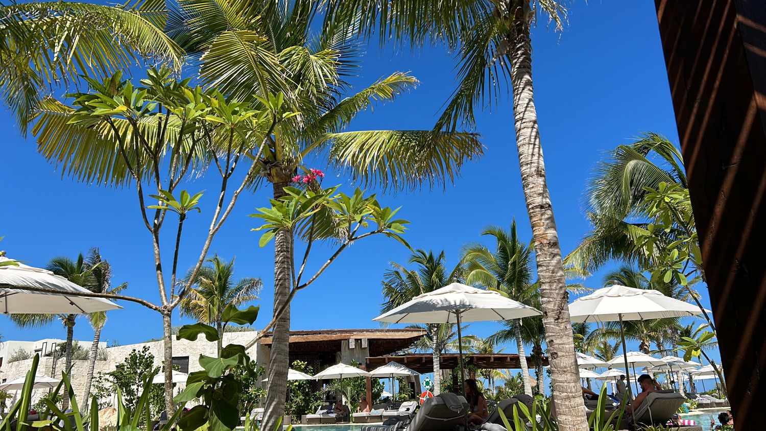 Beach with Palm trees 1500x844